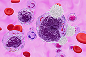 T cells attacking non-Hodgkin's lymphoma cells, illustration