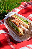 Picnic sandwich