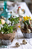 Österliche Blumengestecke mit Veilchen (Viola), Narzissen (Narcissus) und Eiern auf gedecktem Tisch