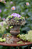 Spätsommerdeko im Pflanzpokal Spätsommerstrauß mit Hortensien (Hydrangea), Sedum, Beeren und Zieräpfel auf Gartentisch