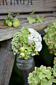 Late summer bouquet with snail shell and hydrangeas (Hydrangea), stonecrop (Sedum), ornamental apples and berries on a wooden wall