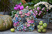 Herbstdekoration mit Hortensienkranz (Hydrangea), Äpfel im Korb und Blumentöpfe mit Schneebeere, Alpenveilchen und Kürbis auf der Terrasse