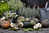 Herbstdeko mit Kürbissen, Erika (Calluna), Zweige der Gewöhnlichen Schneebeere (Symphoricarpos albus) und Windlichter auf Terrasse