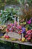 Herbstlich geschmückter Tisch mit Kerzen, Äpfeln, Zieräpfeln, Kissen-Aster (Aster dumosus) und Zierkürbissen im Garten