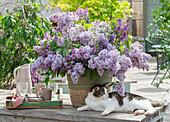 Blumenstrauß aus Fliederblüten (Syringa Vulgaris) und Gräsern im Eimer