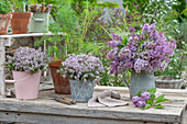 Blumenstrauß aus Fliederblüten (Syringa Vulgaris) und Thymianblüten (Thymus) im Eimer