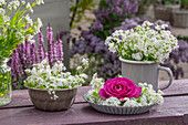 Waldmeisterblüten (Galium Odoratum) in Kuchenform mit Rosenblüte 'Fräulein Maria' und als Strauß auf Holztisch