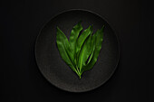 Wild garlic leaves on a dark plate, fresh spring herb