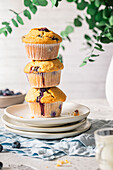 Blueberry muffins with no added sugar