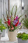 Colourful bouquet of gladioli (Gladiolus) in watering can on the terrace