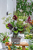 Strauß aus Fenchelblüten, Amarant-Fuchsschwanz (Amaranthus caudatus), Funkie (Hosta) in Vase auf der Terrasse