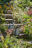 Treppe im Garten mit Zinn-Giesskannen vor Blumenbeeten