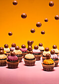 Mini cupcakes with malt chocolate balls and chocolate bunnies