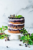Naked cake with blackberries