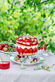 Strawberry trifle