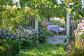 Blick über Zaun zu Sitzplatz im herbstlichen Garten zwischen Astern (Aster)