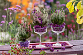 Heidekraut (Calluna), Liebesperlen (Callicarpa Bodinieri) in Gläsern und Hagebutten als Tischdeko