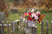 Gemischter Strauß aus Rosen 'Stanwell Perpetual', Ligusterbeeren, Schneebeeren, Hagebutten, roten Brombeerblättern in Korb an Zaun