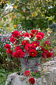 Autumn bouquet of dahlias (Dahlia), yarrow, borage, oriental knotweed, privet berries, fennel flowers