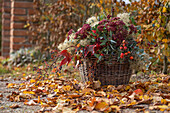 Autumn arrangement of clematis, stonecrop, rose hips, eucalyptus and wild vine in a wicker basket