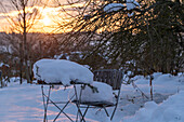 Winter atmosphere in the garden at sunset