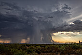 Lightning strike near Ajo, Arizona, USA