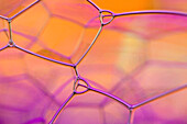 Soap bubbles in a beaker, light micrograph