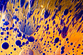 Air bubbles in candle gel, light micrograph