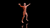 Man doing jumping jacks, illustration