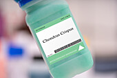 Chondrus crispus microalgae, conceptual image