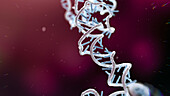 RNA obelisk, illustration