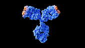 Antibody drugs, illustration