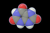 Uric acid molecule, illustration