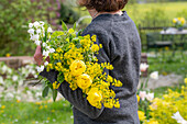 Frau hält Blumenstrauß mit Traubenkirsche, Raps, Sommerknotenblume (Leucojum aestivum) 'Gravetye Giant', Tulpe 'Strong Gold' (Tulipa) und Wollziest