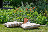 Cushion seat next to lady's mantle (Alchemilla), lungwort (Pulmonaria Officinalis), clovewort (Geum) or poppies (Papaver)