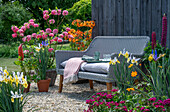 Seating area on terrace with flowering azaleas 'Hombush' and 'Glowing Embers' (Rhododendron luteum) in pots