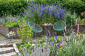 Seat between a bouquet of delphinium, dyer's chamomile (Anthemis tinctoria), candelabra speedwell and yarrow in the flower bed