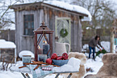 Lantern with ceramic jug, cup, apples, cinnamon sticks in winter garden and garden shed
