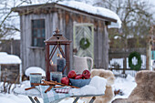 Lantern with ceramic jug, cup, apples, cinnamon sticks in wintry garden and garden hut