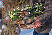 Frau trägt bepflanzte Obstkiste mit Christrosen (Helleborus niger), dekoriert mit Tannenzweigen, Eicheln aus Metall und echten Kieferzapfen