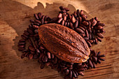 Cocoa fruit and cocoa beans on a wooden base
