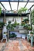 Garden shed with glass roof, lush green plants and citrus trees