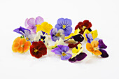 Edible colourful pansy flowers