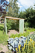 Vegetable garden with greenhouse, red cabbage and mullein in the foreground