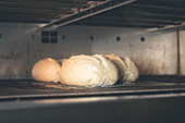 Homemade bread in the oven