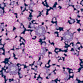 Antigen presenting cells, conceptual illustration