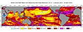 Global coral bleaching event 2023-2024