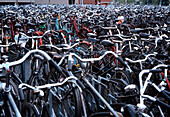 Bicycle parking