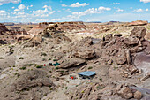 Fossil excavation site, Utah, USA