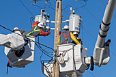 Workers repairing electrical equipment on utility pole